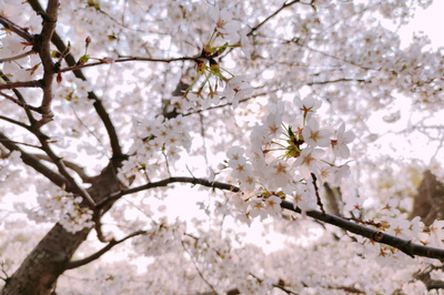 2020-03-29-15-42-36-920